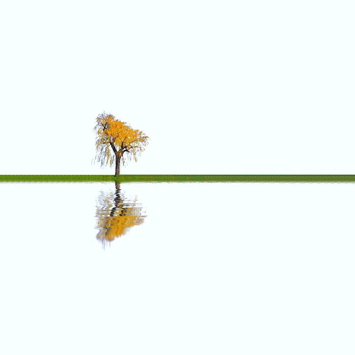 Minimalist photography: An minimalist image of an autumn tree with orange leaves and a reflection in water