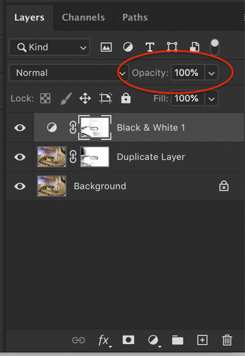 Screenshot of opacity option in layer panel for Photoshop selective color process