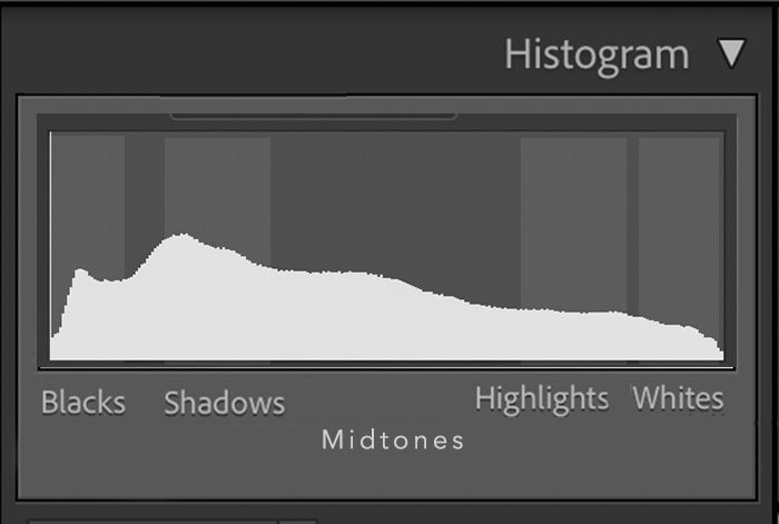 screenshot of a histogram