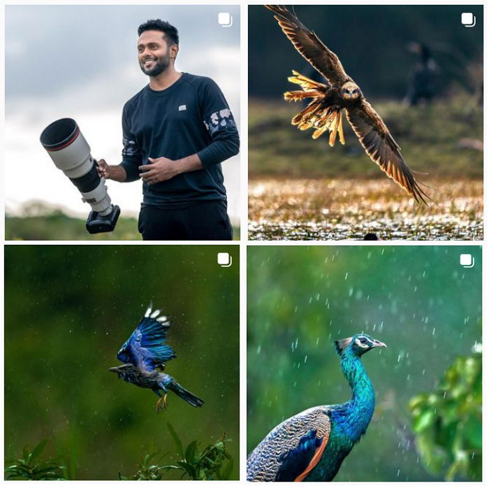 a screenshot of bird photographer varun aditya instagram portfolio