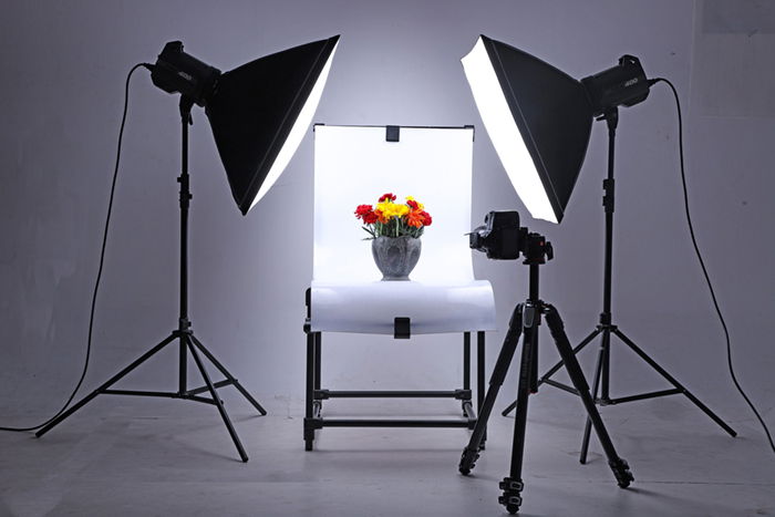 studio lights flower still life