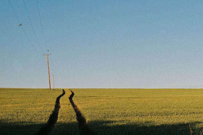 farmer's track through a green field taken with film for a retro effect