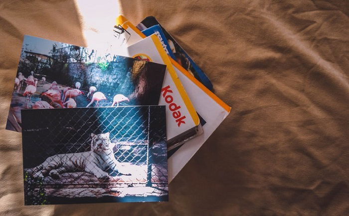 Kodak photographs on a bedsheet