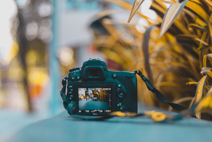 A camera sitting on a wooden bench next to some foliage.