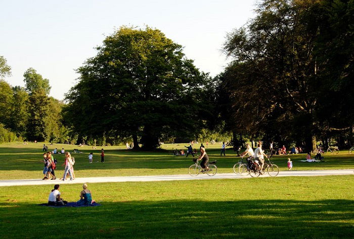 photography of a park on a sunny day