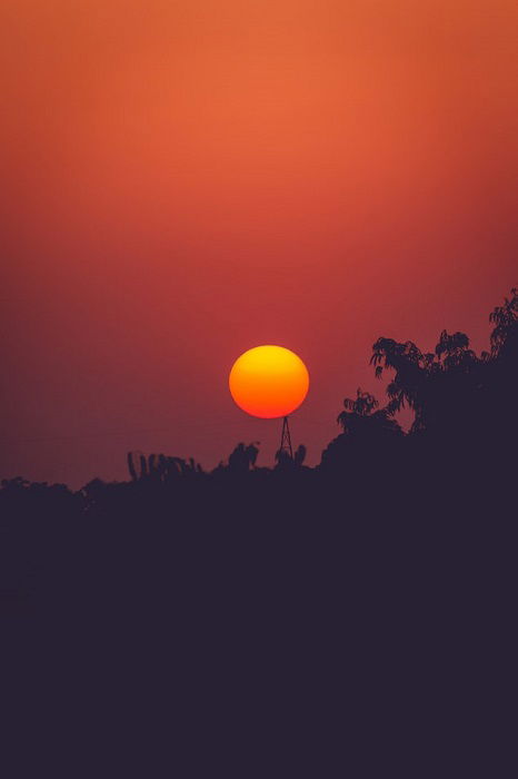 sunset behind trees