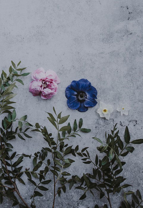 floral flat lay: bold composition by separating the flowers in the middle of the image