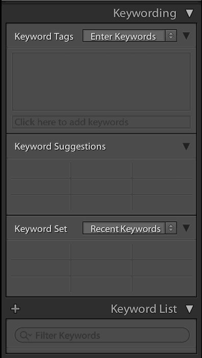 keywording feature in Adobe Lightroom with keyword suggestions and keyword list