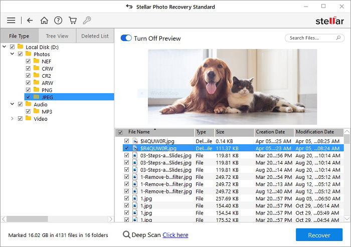 A file recovery application.