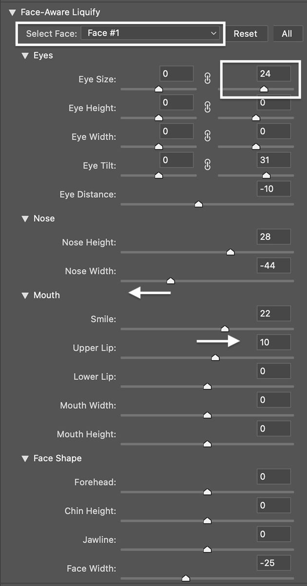 Screenshot of Face Aware Panel for the Liquify tool in Photoshop 