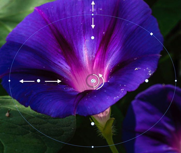 Screenshot of Iris Blur tool in Photoshop