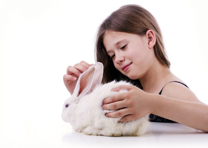 a girl petting her posed white bunny