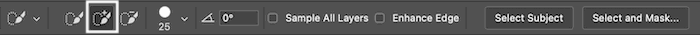 Screenshot of positive brush selection in Photoshop Quick Selection toolbar