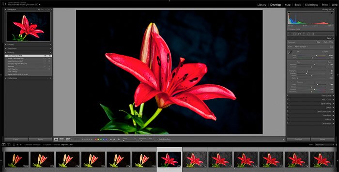 Editing a flower image in Adobe Photoshop for time-lapse photography