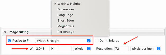 Screenshot Image Sizing dialog box for Lightroom export settings