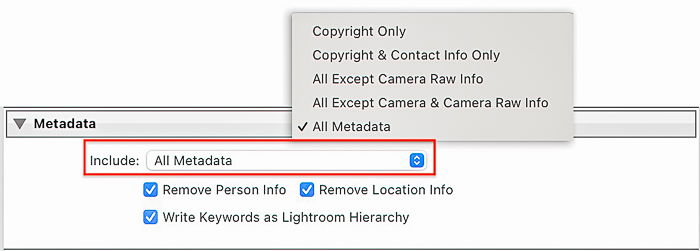 Screenshot of Metadata dialog box for Lightroom export settings