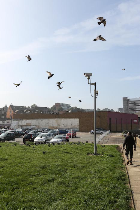 Action of birds flying over grass CCTV stand and parking lot taken with Canon EF 16-35mm Iens