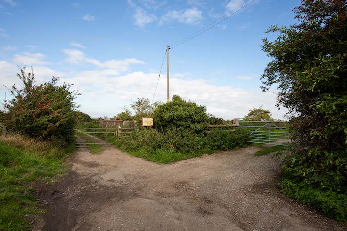 Path in countryside taken with a Canon lens with a 16-35mm focal length range