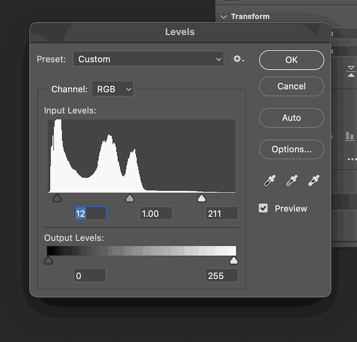 screenshot of contrast values in the levels pop up screen in photoshop