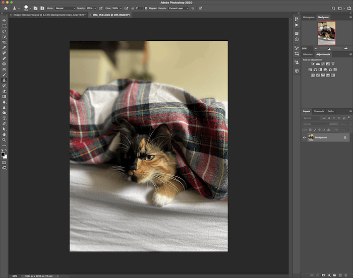 Screenshot of opening picture in Photoshop