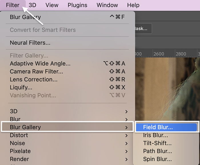 Photoshop screenshot selecting Field blur gallery