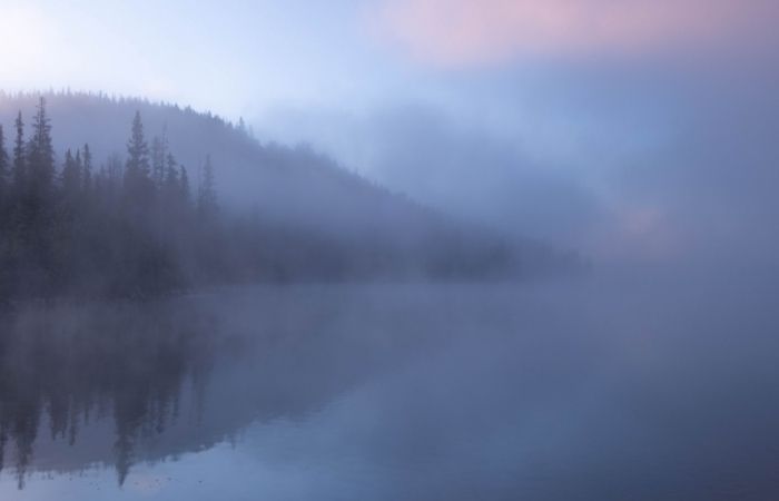 a landscape fog photoshoot tinted purple