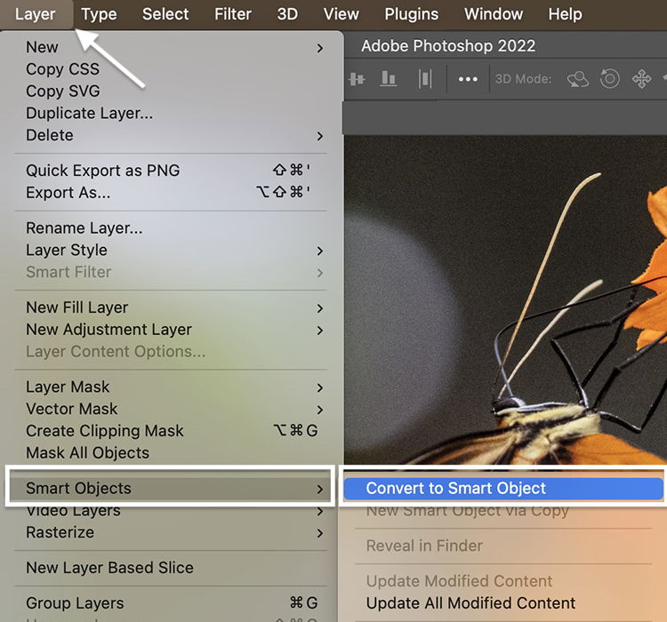 A computer interface displaying options for layer manipulation.