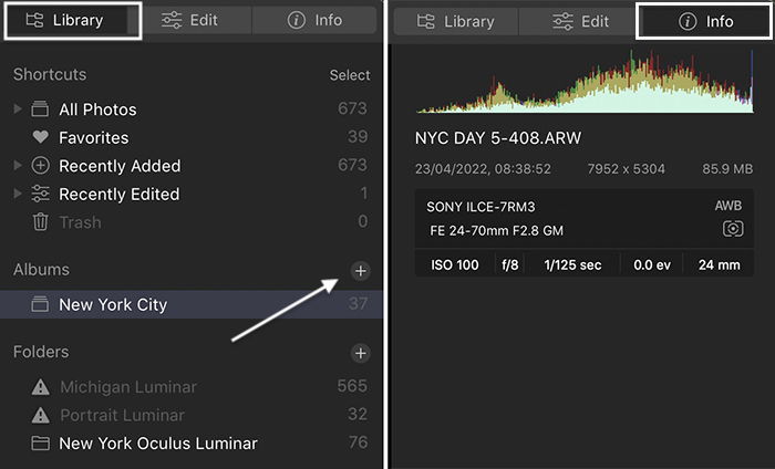 Luminar 4 screenshot of library catalog and info tabs