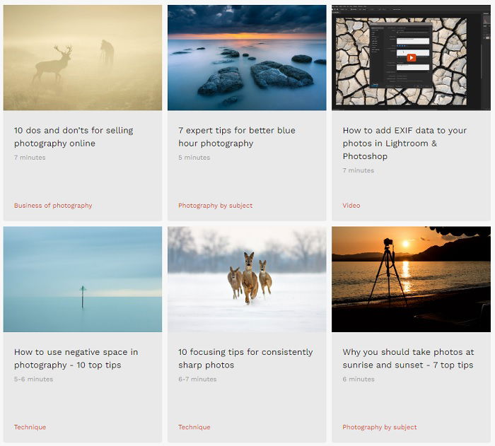 Screenshot of focus photo tutorials on the Picfair website