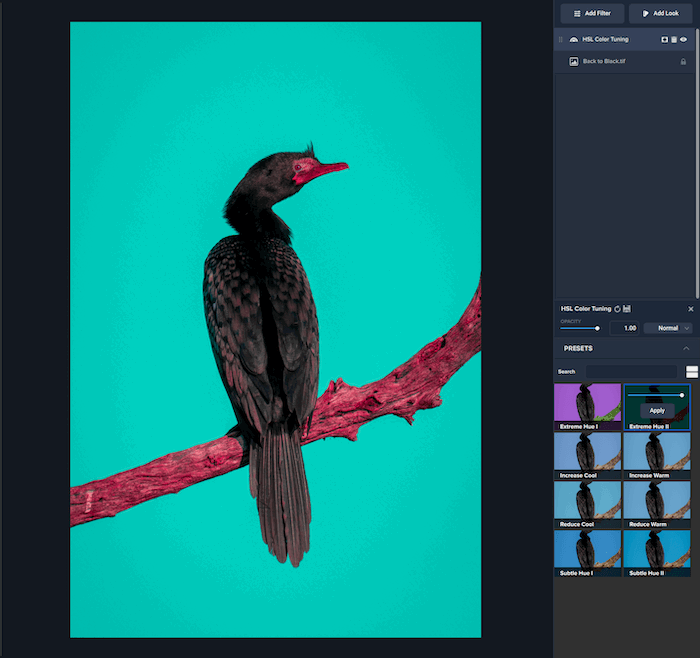 Topaz Studio 2 HSL Color Tuning with Extreme Hue II preset