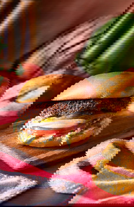 An image of a burger and onion rings shot with v flat world duo boards