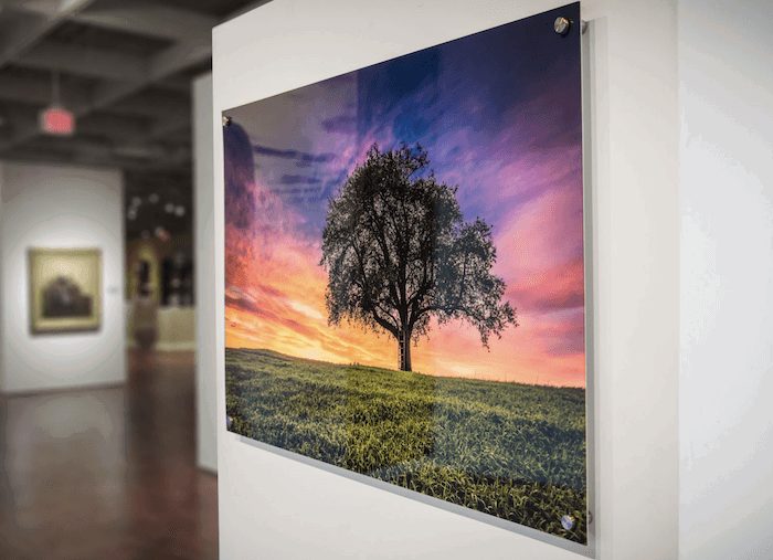 Acrylic print in gallery