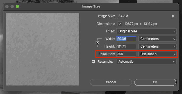 A photo editing software with the settings panel open, showing options for size, dimensions, and alignment. 