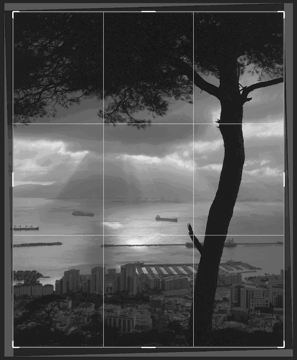 A tranquil waterfront with a skyline, tree and an island in the background. 