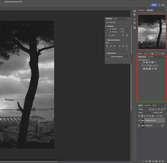 A showcase of photo editing capabilities with an image of a tree and a cityscape. 