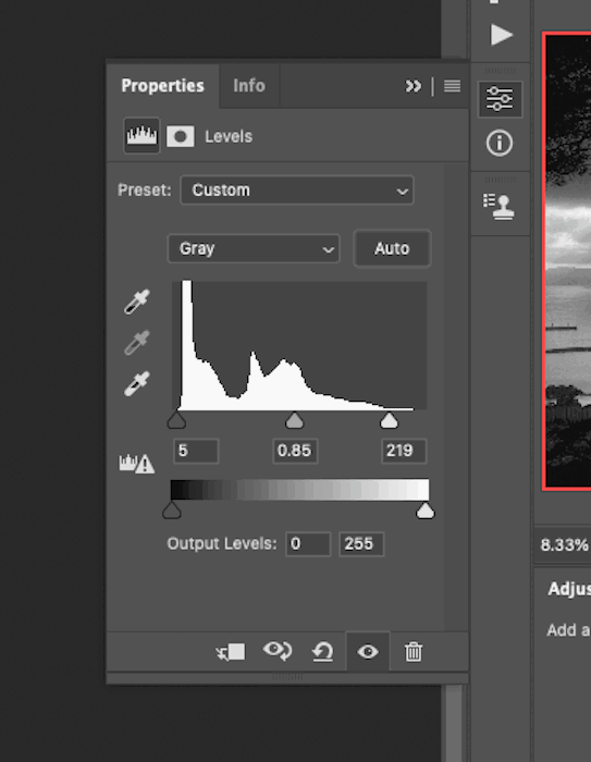 A photo editing software, showcasing a custom color palette and a histogram for visual analysis. 