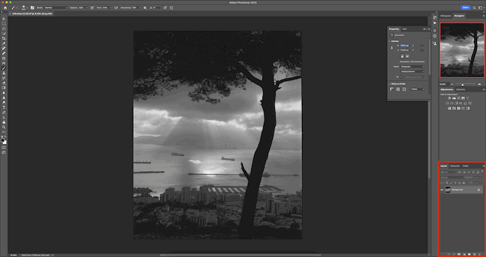 A photo editing software showing an image of a tree and sky.