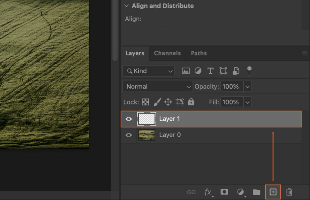 New layer option in Photoshop.