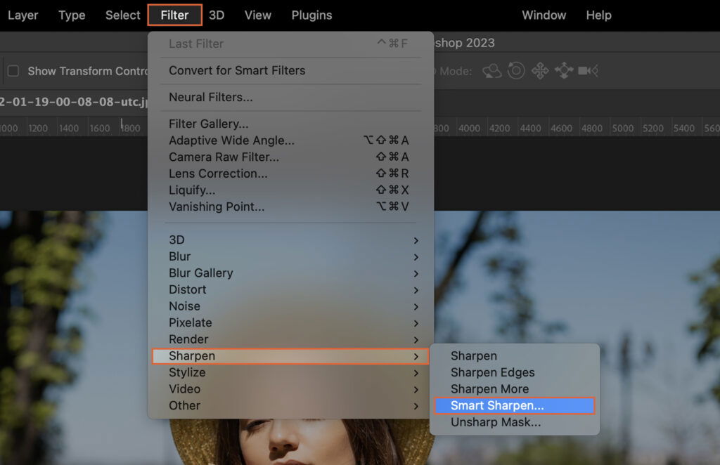 An image editing software, showcasing options for filters and other effects on a photograph. 