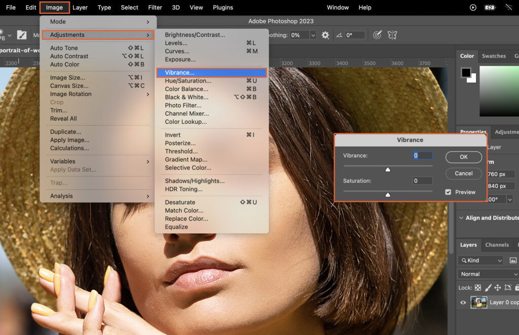 Adjustments menu in Photoshop.