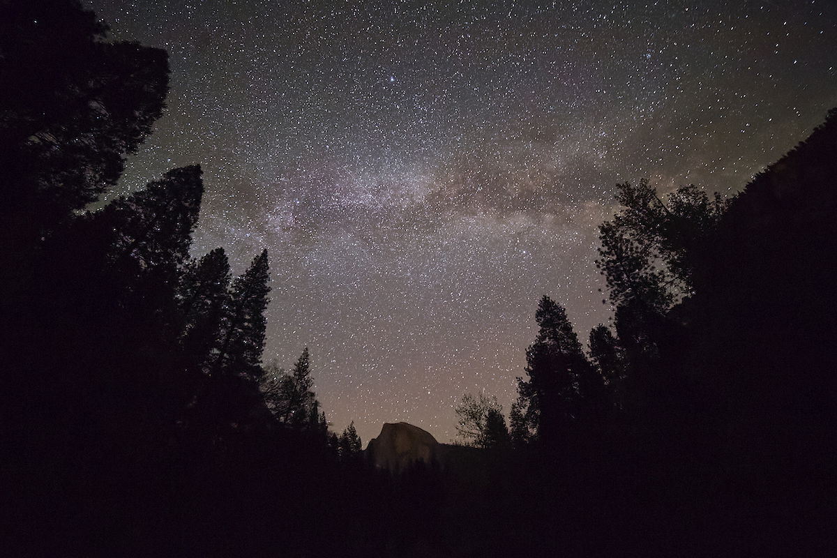 Starry night sky with tree silhouettes edited with Capture One