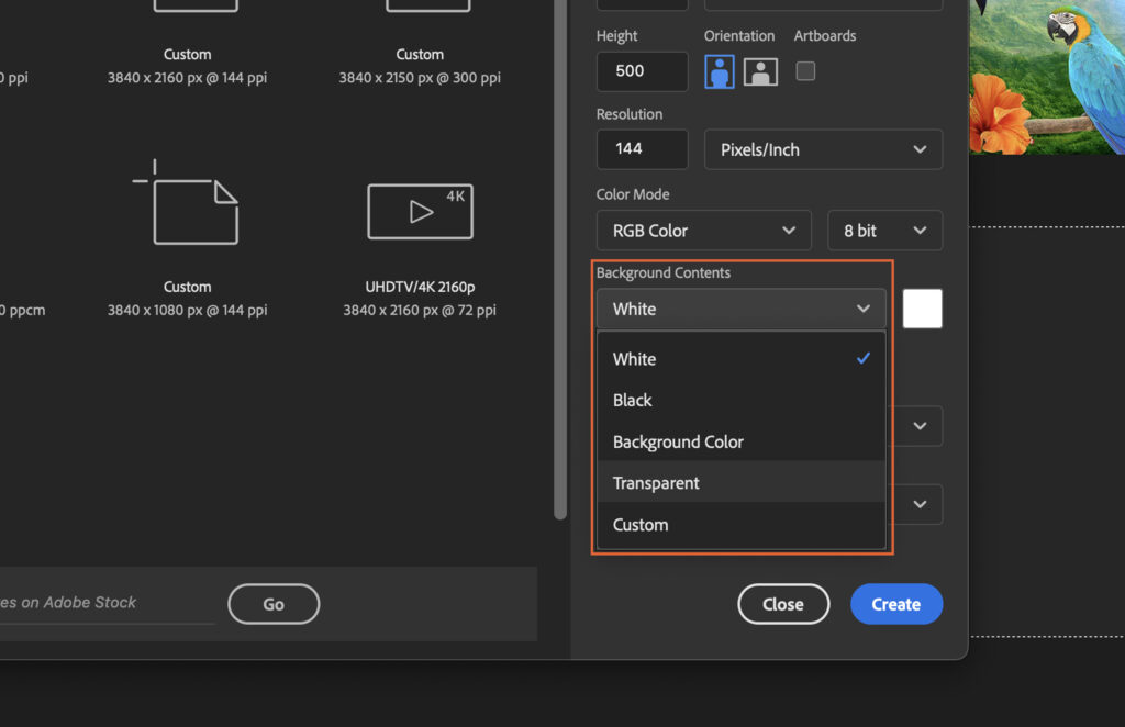 A photo editing software, where the user interface is in use for creating new projects. 