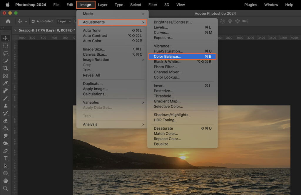 A photo editing software, where the user has selected some properties for a picture. 