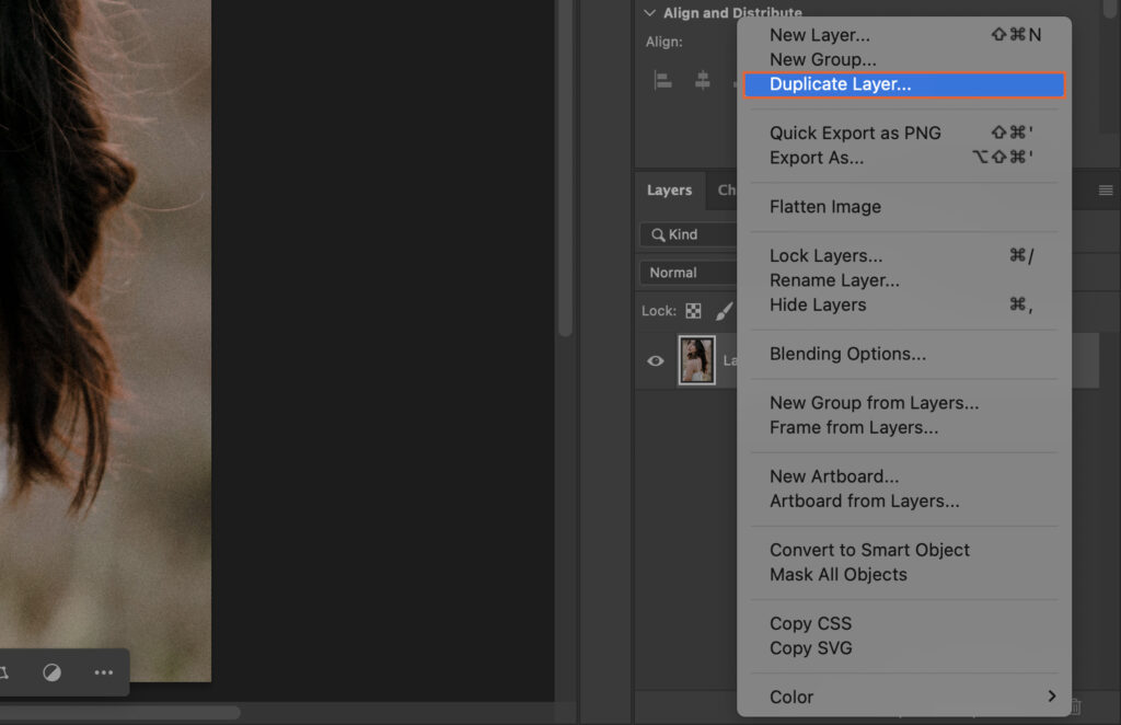 A photo editing software, where the user is applying a new layer. 