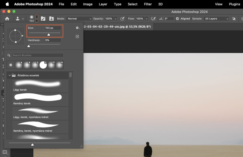 Adobe Photoshop program interface with a desert scene as the background.