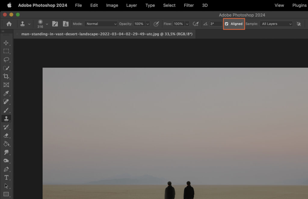 A photo editing program with a landscape picture being edited, showing two figures standing in front of a vast open sky. 