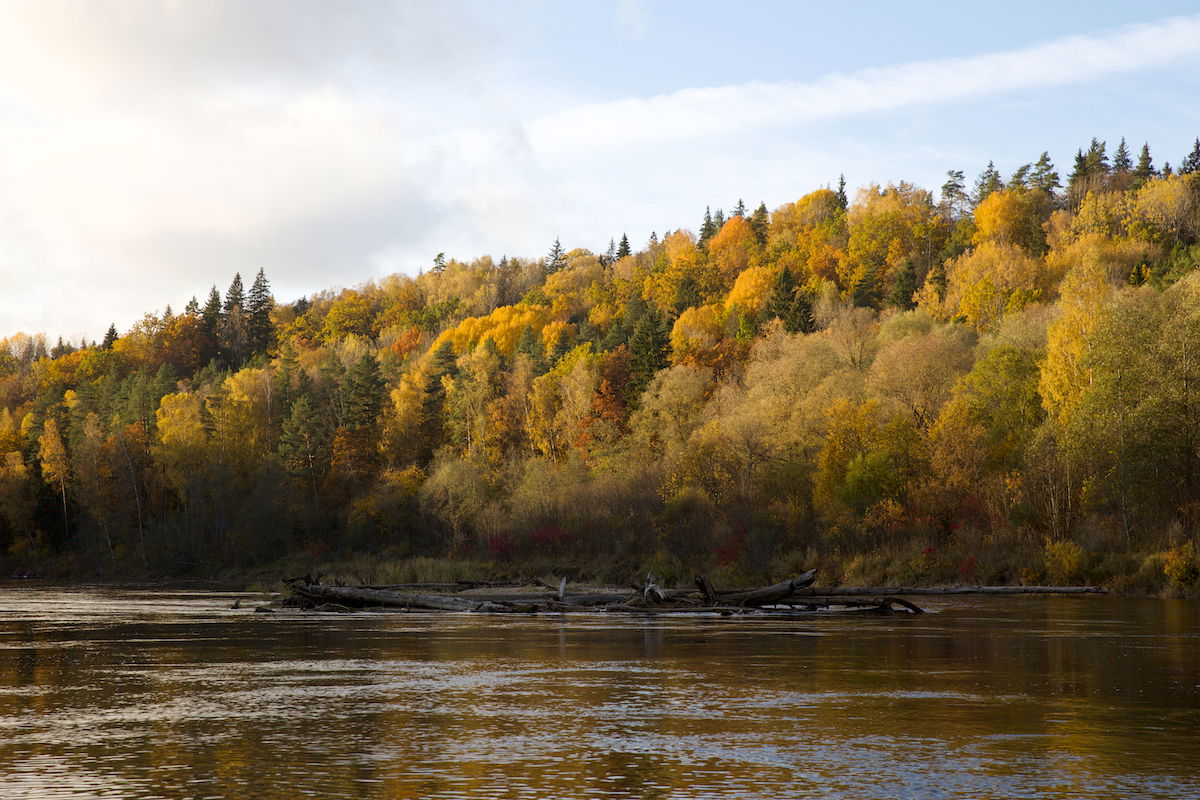 RAW image of fall river landscape