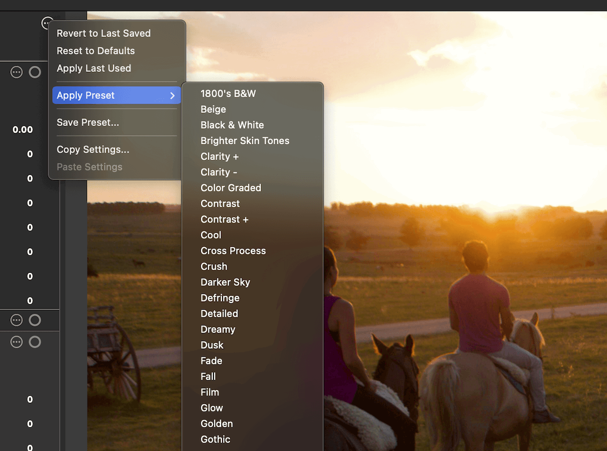 screenshot of ACDSee Photo studio for mac 10 showing a range of their presets