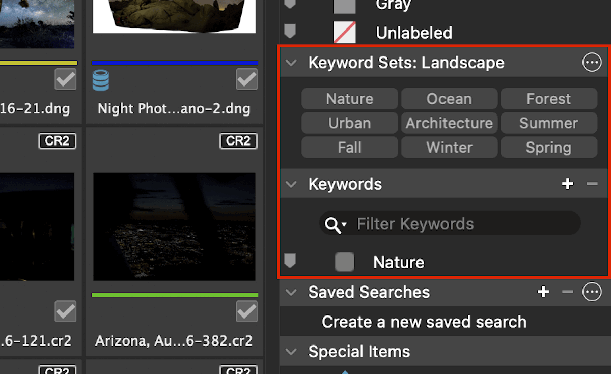 screenshot of ACDSee photo studio for mac 10 highlighting the keyword section