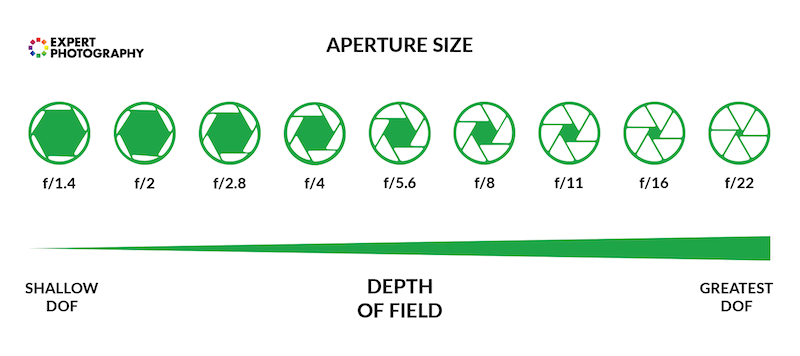 Infographic showing different apertures and how this effects depth of field